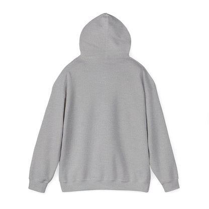 Edmonds Mountain Graphic Hoodie - Cozy Unisex Sweatshirt for Outdoor Lovers