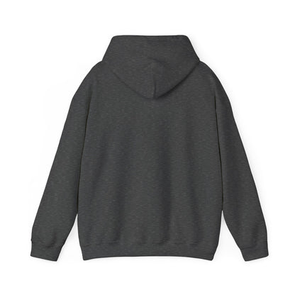 Edmonds Mountain Graphic Hoodie - Cozy Unisex Sweatshirt for Outdoor Lovers