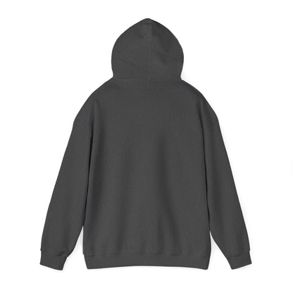 Edmonds Mountain Graphic Hoodie - Cozy Unisex Sweatshirt for Outdoor Lovers